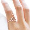 Anillo de Apertura de Mariposa Microincrustado Nuevo Popular Europeo y Americano Cao Shi Anillo para Dedo Índice de Diente de León Todo Combinación Accesorios