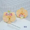 Filme Phalaenopsis Flor Pequena Alta Simulação Sentir Phalaenopsis Férias de Verão Processamento de Acessório de Cabeça DIY Chapéu de Formatura