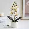 Flores artificiales con 5 flores y 2 frutas, tacto realista, bonsái pequeño de Phalaenopsis, plantas artificiales en maceta, decoración de interior, maceta verde
