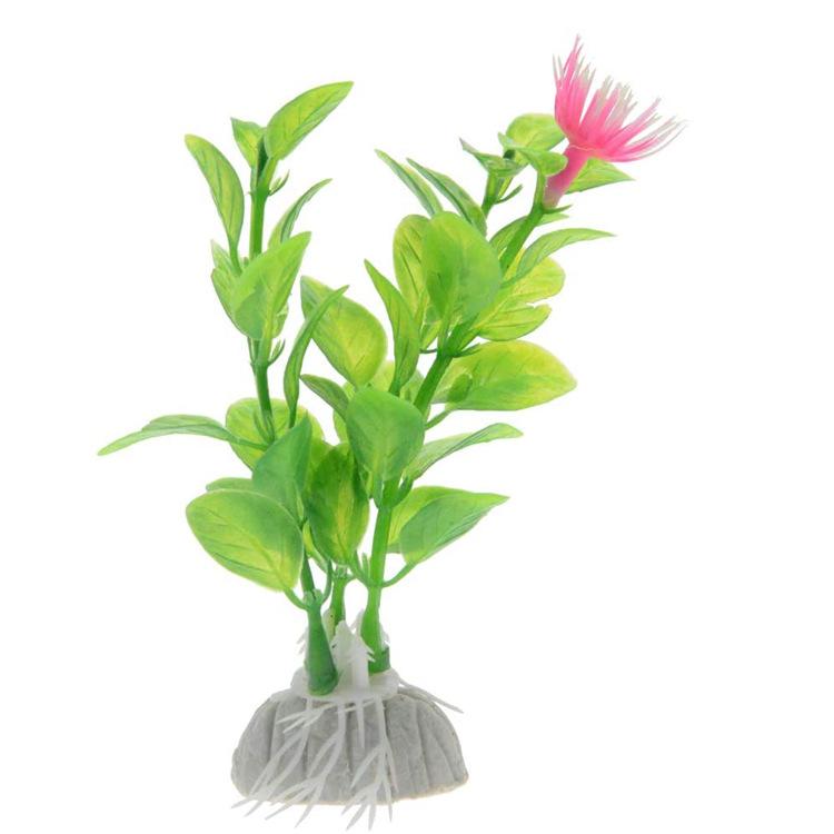 513Z7ily1iL._AC_SL1000_