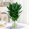 Bambu Guanyin Bambu da Sorte para Interior Planta Hidropônica Flor Planta Verde Passo a Passo Título Dourado com Raízes Fácil de Manter na Sala de Estar
