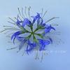 Simulación Cabeza de Flor Bianhua Viento Lluvia Cabeza de Flor Orquídea Mantuo Sha Hua Decoración Caja de Regalo Flor para la Cabeza Flor de Seda Decoración Antigua