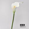 Lirio de Calla Artificial de Eva con Alto Realismo y Tacto Realista, Flor Artificial de Tallo Único para Decoración del Hogar y Arreglos Florales, Transfronterizo