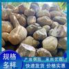 Piedras de Río al por Mayor, Piedras Naturales para Paisajismo, Piedras de Orilla de Río, Piedras Decorativas para Césped de Espacios Verdes Exteriores, Piedras Blandas de Río, Piedras para Paisajismo