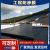 Biblioteca Mineral de Cola Antifiltración Meticulosa Membrana Piscina Líquida Estanque de Óxido Geomembrana de 1.5 mm Relleno de Basura Campo Enterrado Cubierta Geomembrana