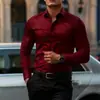 Camisa de vestir para hombre muscular, resistente a las arrugas, ropa de trabajo profesional, camisa casual de manga larga para otoño