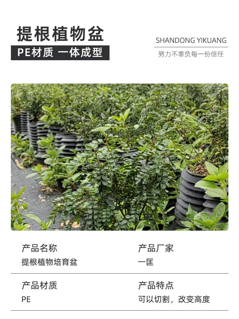 提根植物培育盆