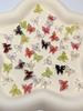 Joyería de mariposa tridimensional linda fresca inteligente delgada flash mariposa hielo a través de diy cuerda de mano resina accesorios material