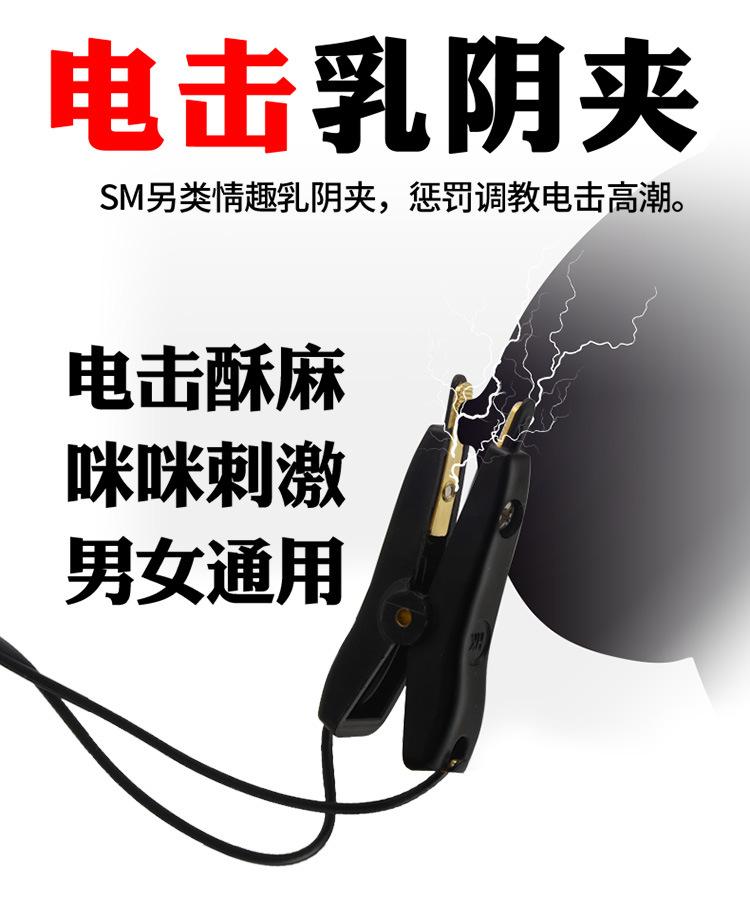 双极夹1_01.jpg