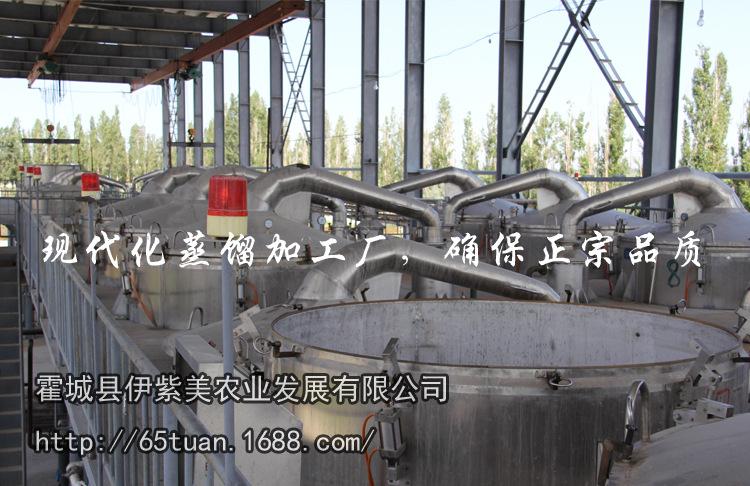 薰衣草蒸馏3