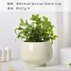 Maceta de Cerámica Transfronteriza Florero Grande Estilo Crema Orquídea Mariposa Maceta Especial Transpirable Hogar Planta Verde Suculenta Orquídea Planta en Maceta