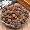 Semillas de Paulownia, Semillas de Paulownia, Semillas de Calabaza, Semillas de Paulownia, Semillas de Árbol de Aceite de Paulownia Venta al por Mayor y Entrega