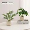 Plantas Verdes, Vasos Pequenos, Árvore da Fortuna Semelhante para Mesas de Escritório Internas, Mesas de Centro de Sala de Estar, Flores Artificiais e Arranjos Florais