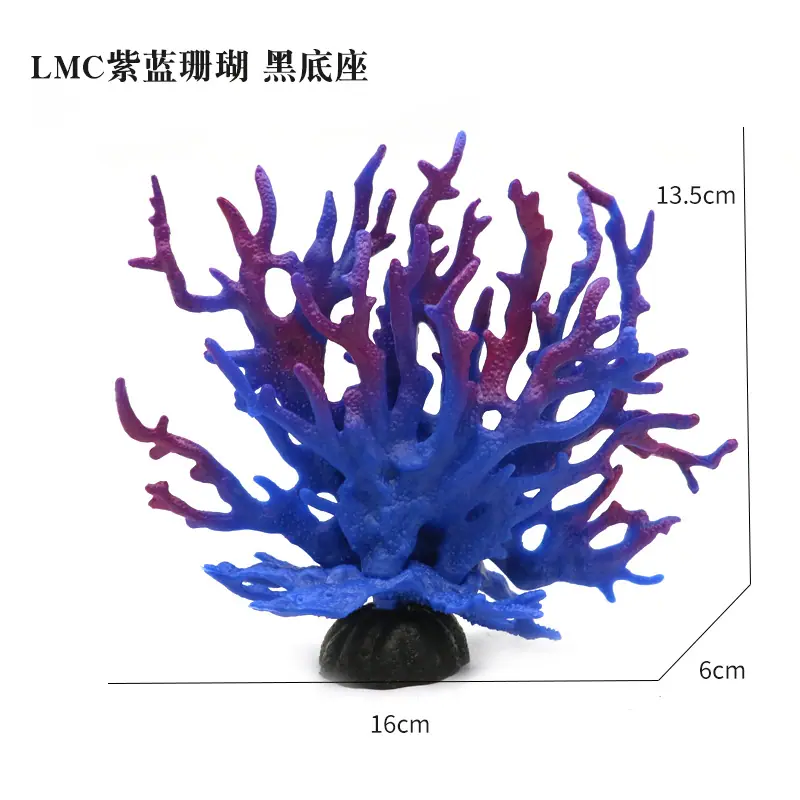 LMC紫蓝珊瑚