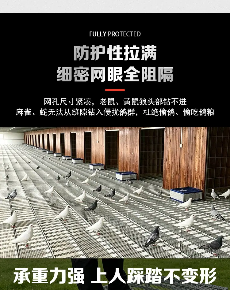 地网详情_10.jpg