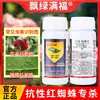 Medicina Especial para Matar Ácaros Rojos y Blancos Resistentes en Rosas, Fresas, Cítricos y Árboles Frutales