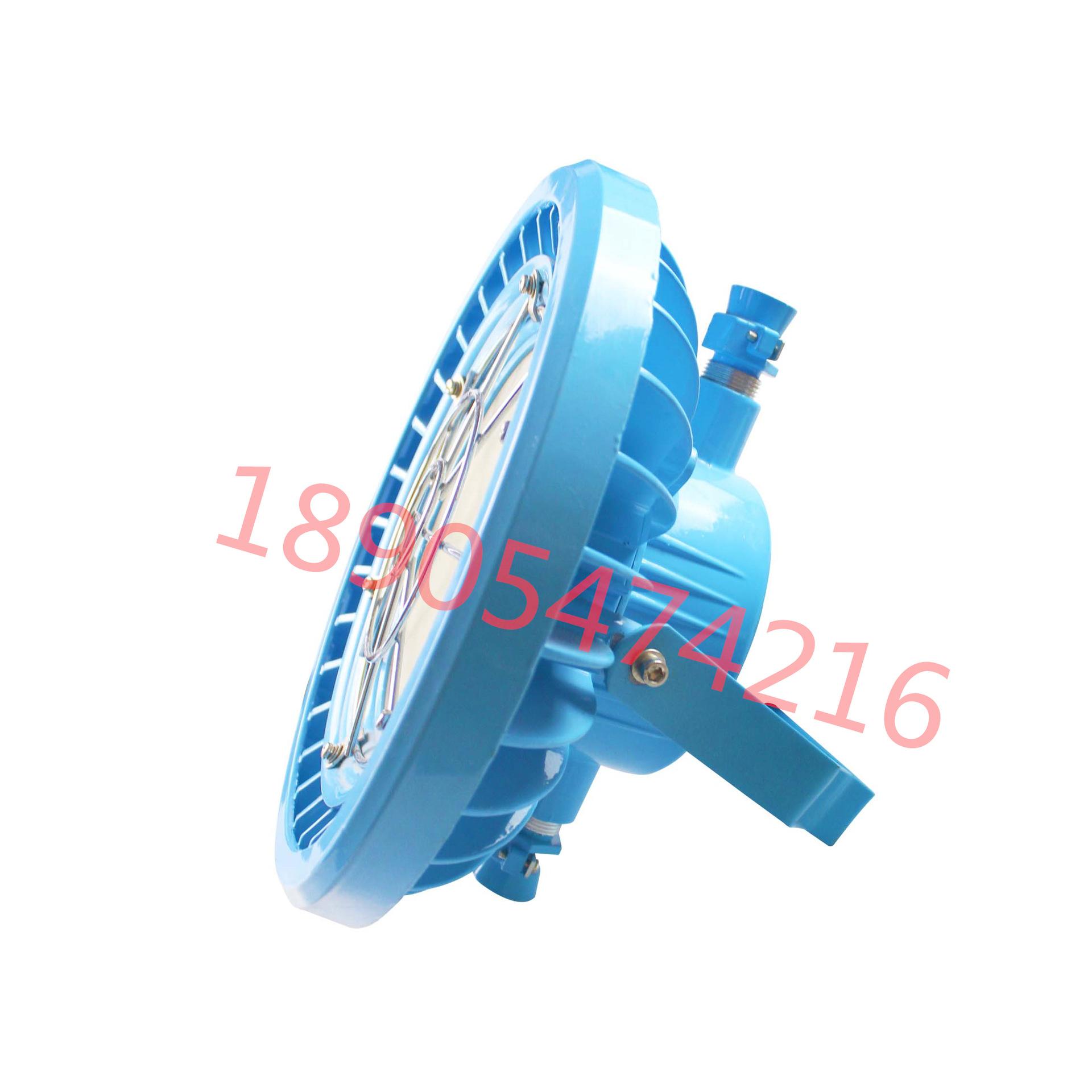 DGS100-127L(A)矿用隔爆型LED照明灯 (5)