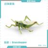 Simulación sólida Araña Naruto ciempiés modelo de insecto juguete para niños mariposa abeja animal decoración bandeja de arena