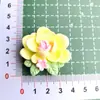 Planta Flor Resina Accesorios DIY Accesorios Hechos a Mano Hebilla de Zapato Pegamento en Pasta para Taza de Agua Pegamento en Pasta Accesorios para el Cabello Material de Flor de Durazno de Primavera