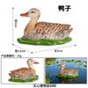 Modelo Animal Cognitivo Sólido para Niños Simulación Mini Animales Pequeños Pollo Pato Ganso Caballo Ganado Oveja Perro Gato Juguete Adornos