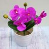 Flor artificial Phalaenopsis bonsái DIY individual boda europea hogar decoración flor falsa suave al por mayor