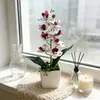 Flor Artificial 8 Cabeças Orquídea Borboleta Planta em Vaso Flor Falsa Impressa em 3D Ornamento Bonsai Hotel Pousada Decoração de Quarto Vaso Pequeno