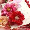 Cabezas de Flores de Peonía Artificiales, Flores Falsas Realistas de Alta Calidad para Decoraciones de Boda, Muros de Flores, Decoraciones de Coche de Boda, Accesorios de Fotografía, En Stock