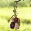 Campanillas de Viento de Cáscara de Fruta Natural, Llaveros Tejidos a Mano, Colgantes para Teléfono Móvil, Regalos Creativos para Amigos, Pequeños Colgantes Decorativos