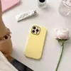 Capa de Picolé Gordinha Adequada para Apple 1615Promax Cor Pura Anti-Queda Capa Protetora de TPU Moldura da Câmera Galvanizada