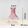 Atacado Transfronteiriço Vaso de Vidro Sódio-Cálcio Estilo Simples Vaso de Vidro Decoração de Mesa Ornamento de Flor Hidropônica