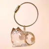 Bolsa Porta-Cabelo de Gato e Cachorro Fofa Chaveiro Pingente Presente Cabelo de Gato Pingente Transparente Criativo Item Quente