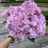[Hortênsia de simulação] Comércio exterior 5 hortênsia francesa hortênsia francesa plana para decoração de casamento flor falsa atacado