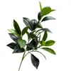 Hojas de Limón Simuladas, Hojas de Naranja, Hojas de Laurel de Osmanthus, Hojas de Árbol de Té, Hojas Táctiles, Árboles para Paisajismo de Plantas, Decoración del Hogar