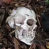 Decoración Especial de Remate Colgante de Pared de Media Calavera Adorno para el Hogar al Aire Libre de Halloween Estatua de Cabeza de Fantasma Accesorio de Ambiente