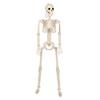 Esqueleto de Plástico de Halloween Esqueleto Modelo de Articulaciones Móviles Ayudas Didácticas Se Puede Colgar y Colocar con Diseño de Escena Sala de Escape
