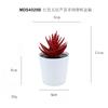 Set de Bonsái de Suculentas de Plástico Mini en Stock, Suculenta Artificial Creativa de Amazon, Flor Artificial Transfronteriza Planta en Maceta Pequeña