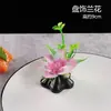 Decoración de Restaurante de Hotel Concepto Artístico Decoración de Plato Brócoli Perejil Plato Frío Decoración de Plato de Sashimi Flores y Plantas