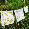 Paquete de materiales de teñido por golpeteo de plantas hecho a mano, traje de paquete de materiales para experiencia DIY hecha a mano, tela, herramientas de impresión y teñido de plantas