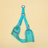 Arnés chaleco para perro con correa, para perros grandes, medianos y pequeños, correa para pasear al aire libre, arnés tipo chaleco para gato, accesorios para mascotas