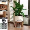 Mesa de sala de estar suporte de flores prateleira interior madeira maciça peitoril da janela suculenta suporte de flores novo varanda de chão pothos rack