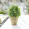 Venta Especial Flores de Mesa Plantas Verdes Bonsái Flores de Simulación Flores Artificiales Decoración del Hogar Suministros de Boda Accesorios Liquidación