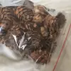 Materiales Naturales Copa de Bellota Bellota Alerce Pino Bello Pino Piña de Pino Abeto Pino Hecho a Mano DIY Flor Seca Empaque Decoración Otro
