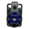 Altavoz de karaoke con ruedas de 12 pulgadas y 20 W, superventas de exportación, amplificador para ceremonias de boda, conexión Bluetooth estable, admite personalización