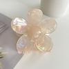 Pinza de agarre elegante de acrílico con forma de flor grande de Corea del Sur, sencilla, de color mágico, para el cabello de una niña dulce, pinza de agarre para el cabello con forma de tiburón