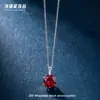 Collar Colgante Personalizable de Acero Titanio Color Seis Garras Circonita Cúbica para Mujer Estilo Vacaciones Dopamina Accesorios de Cadena para Clavícula