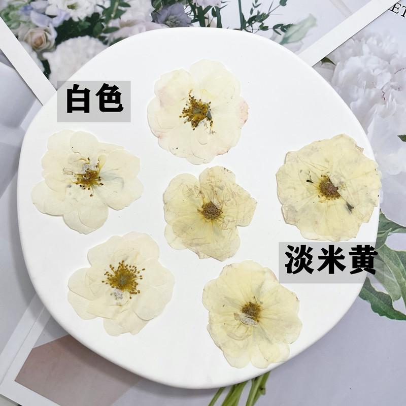 微信图片_20220630000414_副本