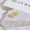 Brincos de Pino Fogos de Artifício em Zircônia Cúbica Europeia e Americana com Banho de Ouro Real 18K Prateados Brilhantes Brincos da Moda de Alta Qualidade para Mulheres