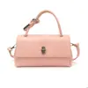 Bolsa Transversal Feminina Tendência Transfronteiriça, Bolsa Quadrada Pequena de Luxo de Alta Qualidade, Bolsa Almofada Moderna e Versátil para Atacado