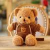 Sudadera Suéter de Oso Muñeco Oso de Peluche Juguete de Peluche Oso de Peluche Regalo de Cumpleaños Juguete de Peluche Oso de Peluche Regalo
