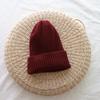 Chapéu Feminino Cor Sólida Chapéu De Lã Ins Estudante All-match Moda Trendy Chapéu Rua Tricô Chapéu Outono e Inverno Quente Estilo Japonês